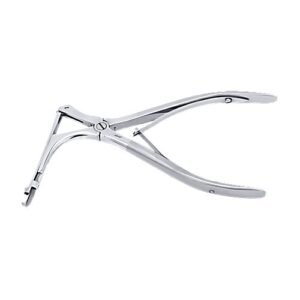 Citelli Bone Nibbling Ronguer